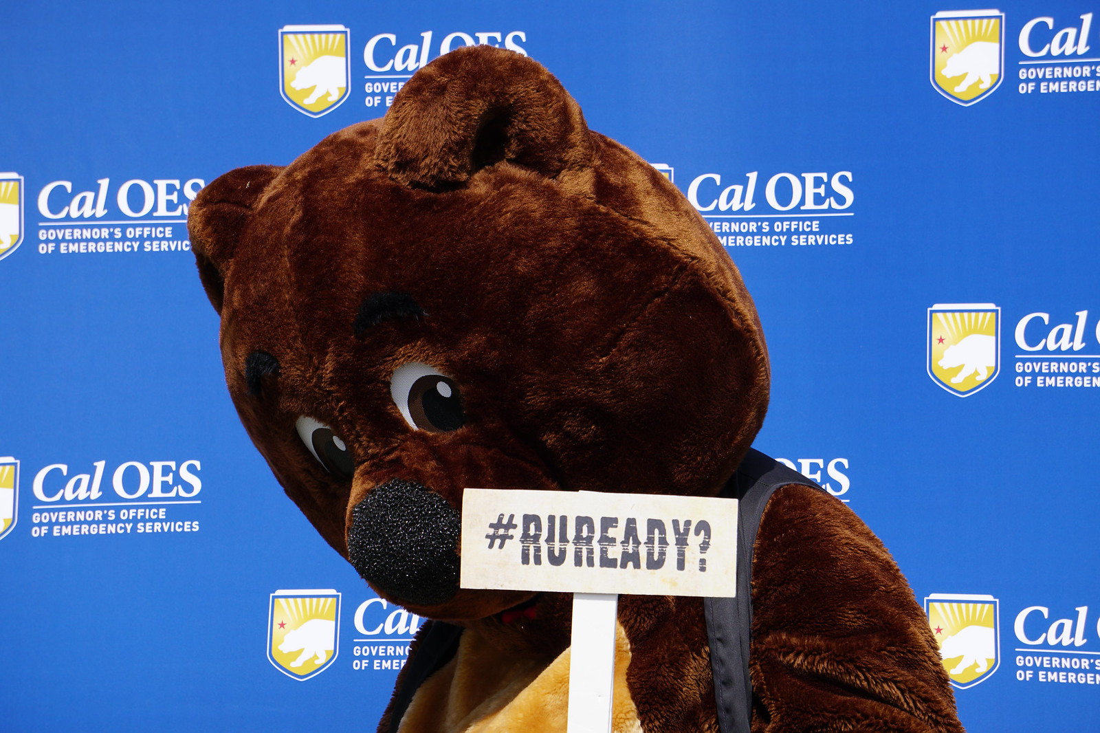 Sarge the Bear